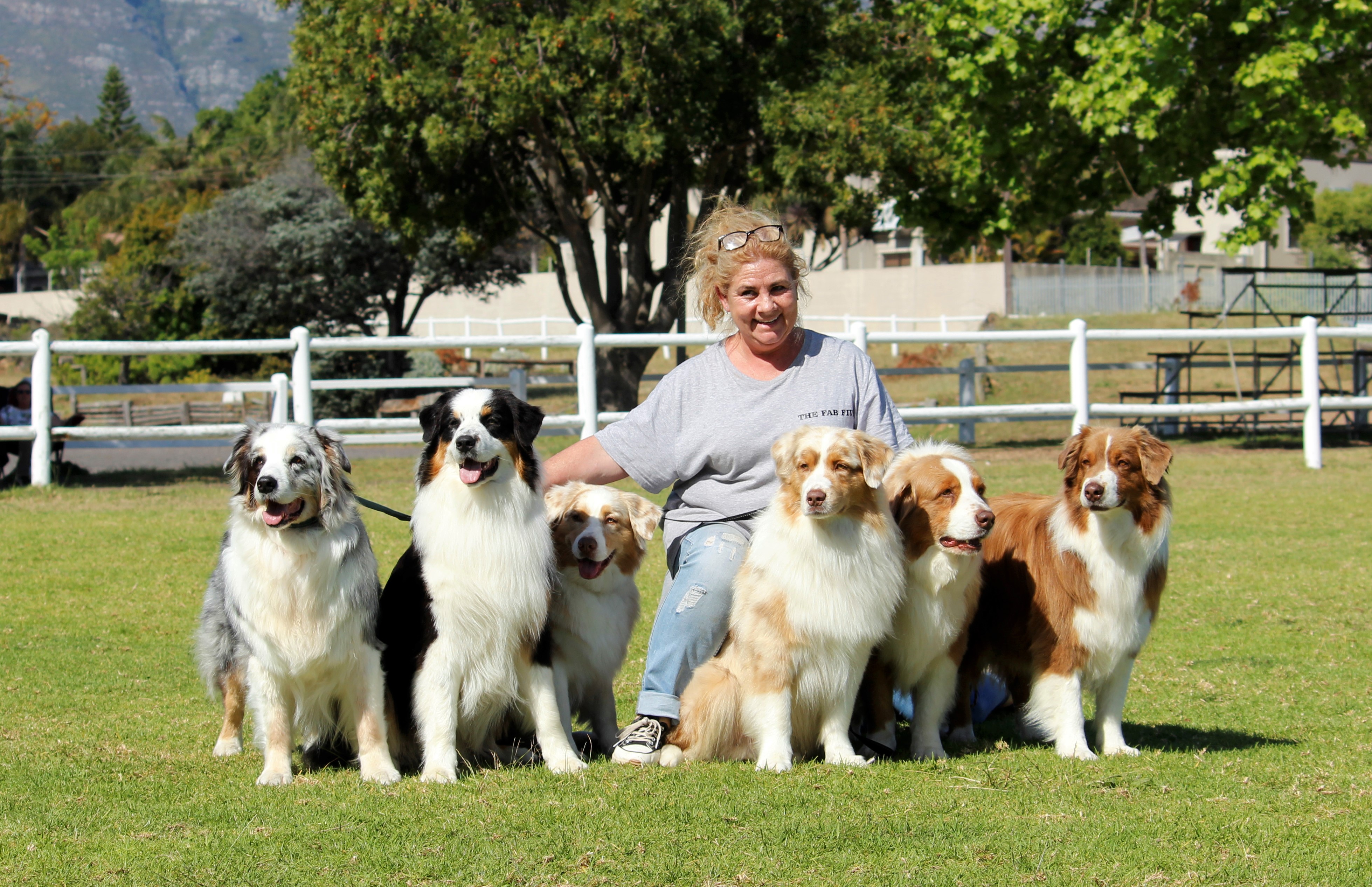 Australian Shepherd breeders